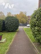 Photo n°5