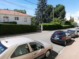 Photo n°8