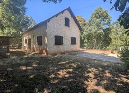 Photo n°16