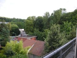 Photo n°8