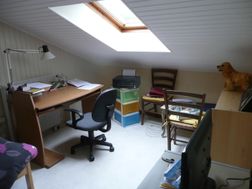 Photo n°4