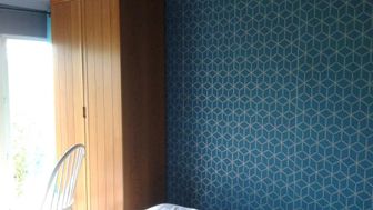 Photo n°6