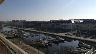Photo n°4