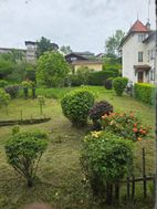 Photo n°3