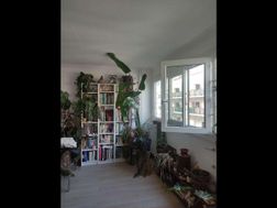 Photo n°1