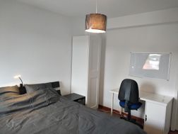 Photo n°10