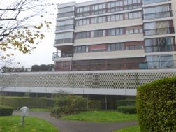 Photo n°3