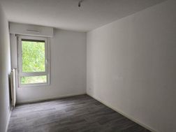 Photo n°4