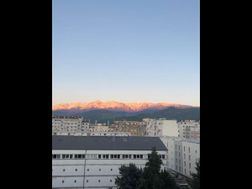 Photo n°5